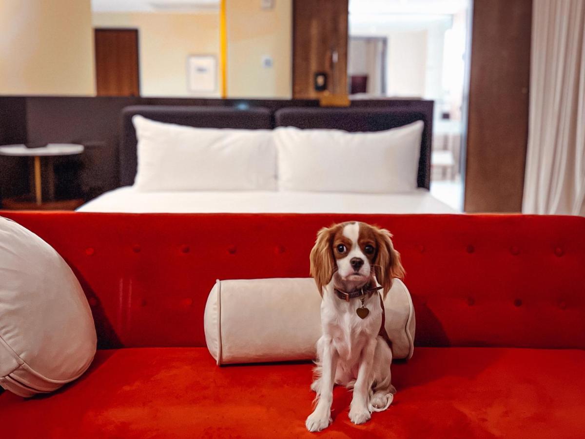Hotel Haya Tampa Zewnętrze zdjęcie